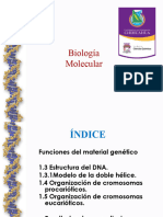 Tema 1.3-1.5 Estructura y Conformacion DNA (1) EDITADO