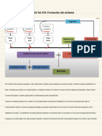 Explicación Conferencia 23 Vol XVI - Formación Del Síntoma