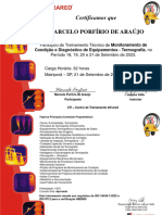 Certificado Marcelo P. Araújo