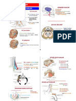 Atlas of Anatomy Muscles (Turkish)