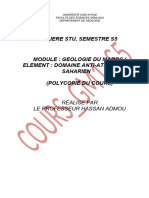 (COURS 4) Paleozoique - GM1 - S5 - AA