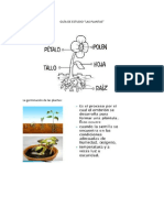 Guía de Estudio Ciencias