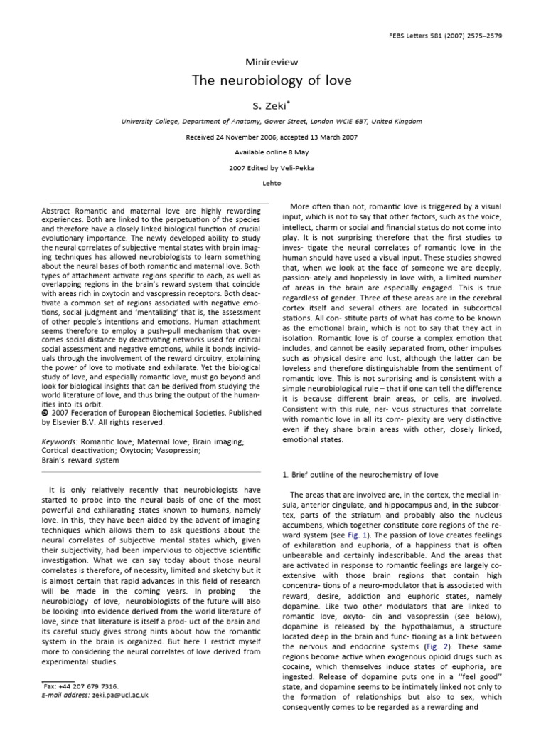 Neurobiology Of Love 230411 132526 Pdf Love Romance Love