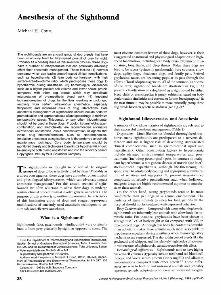 Anestesia em Galgos Download Free PDF Anesthesia Greyhound