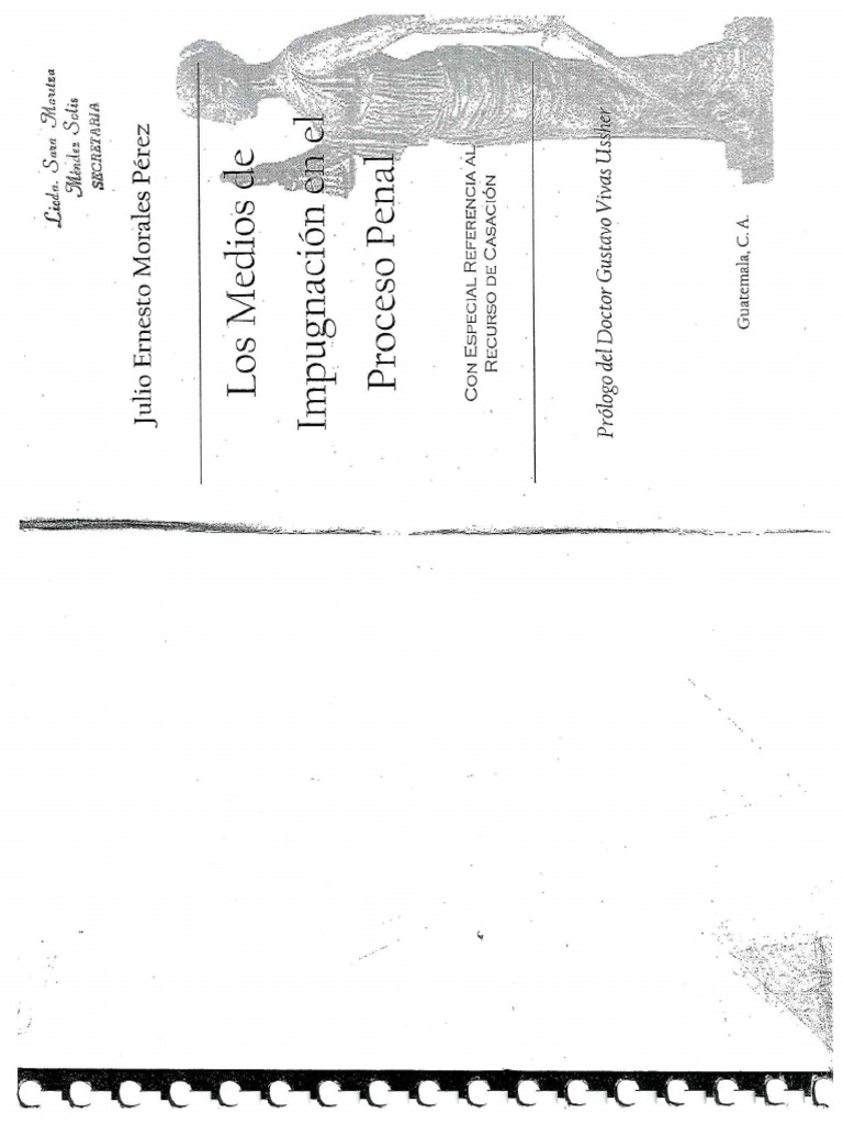 Libro Los Medios de Impugnacion en El Proceso Penal | PDF