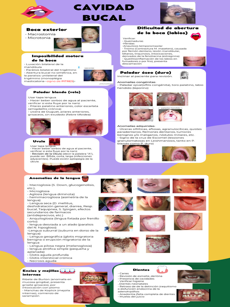 Hans Quino Rivas-Infografía semiología bucal | PDF | Especialidades ...