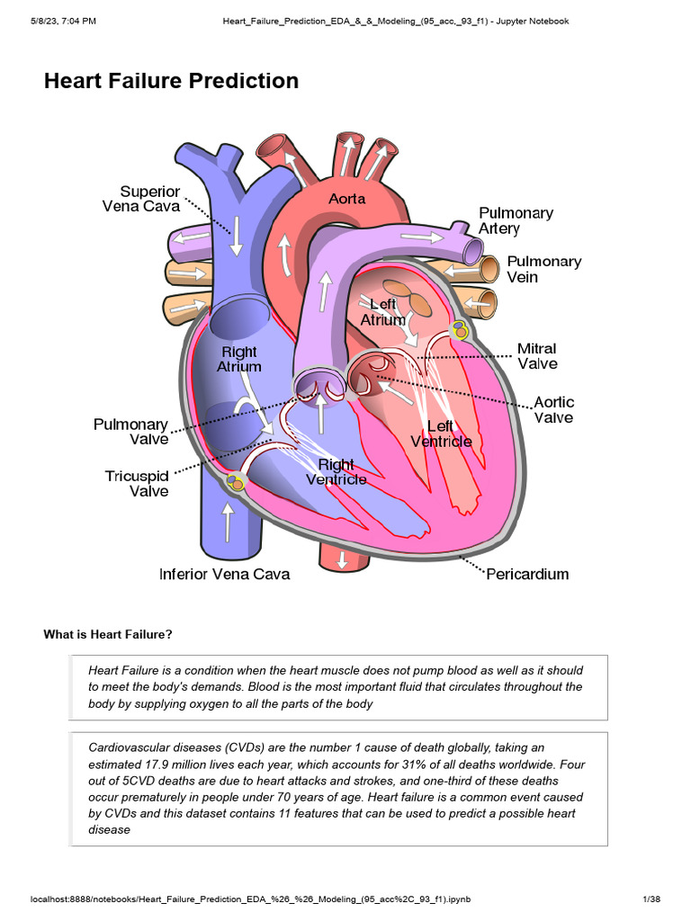Heart Failure Prediction EDA & Modeling | PDF