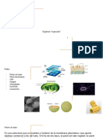 Orgànuls Especials