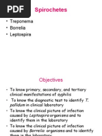 Download Spirochaetes 2006 07 Med by api-3699361 SN6811461 doc pdf