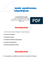 Les Grands Syndromes Hépatiques 2023-2024