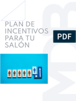 7 - Plan de Incentivos