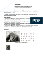 Activité 5 Étude de Caryotypes.