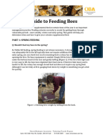 Guide Feeding Bees