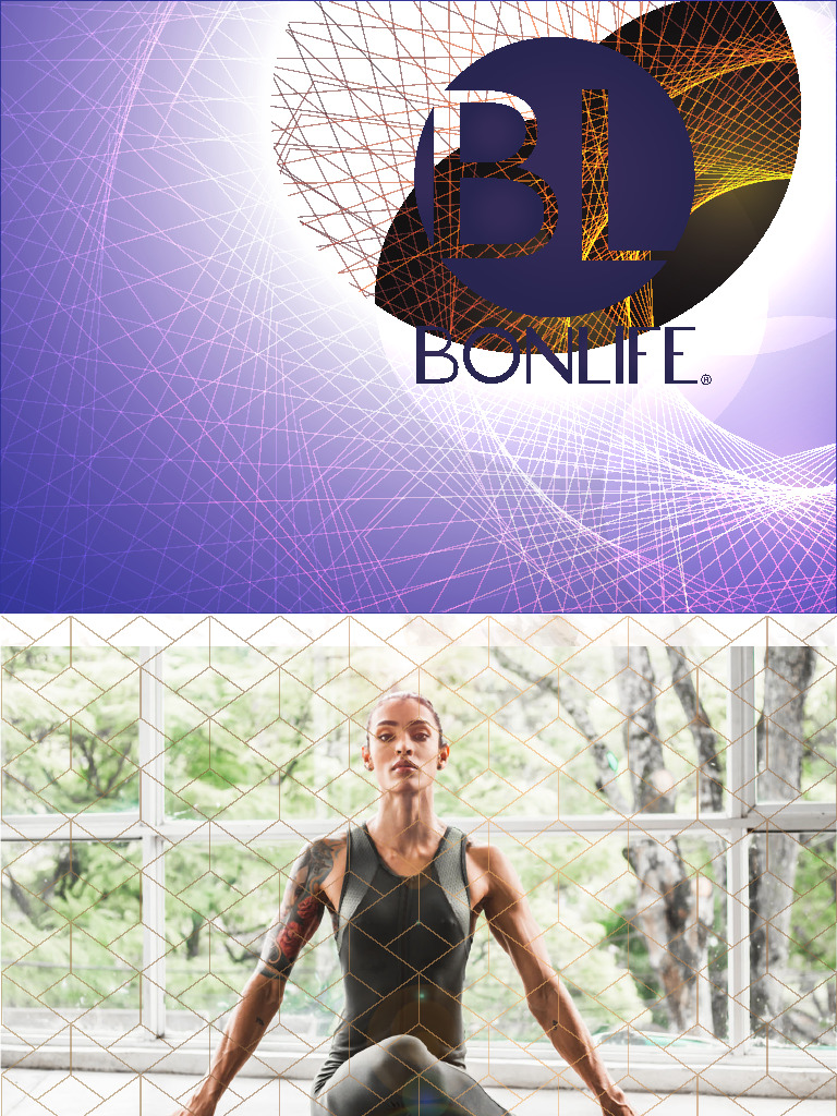 Bonlife Propuesta Comercial | PDF | Marca | Economias
