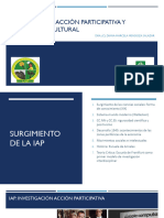 IAP-Diapositivas Capacitacion