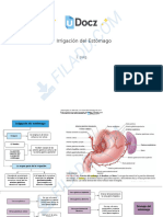Irrigacion Del Estomago