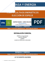 Tema 4.2 Biomasa Cultivosenergeticos Eleccionespecie