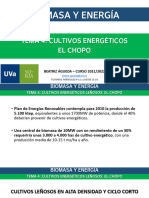Tema 4.3 Biomasa Cultivosenergeticos Chopo