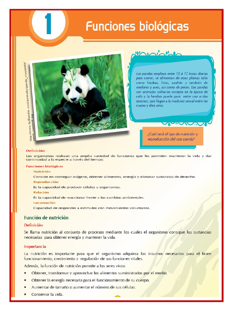 Funciones Biologicas PDF