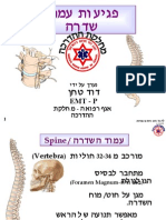 פגיעות עמש