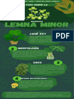 Lemna Mior