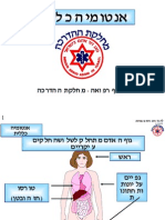 1 אנטומיה כללית