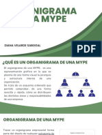 Organigrama Mype