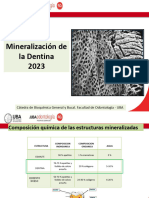 Presentación de La Clase Mineralización de La Dentina