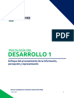 Unidad 5 Recurso 4 Enfoque Del Procesamiento de La Información Percepción y Representación