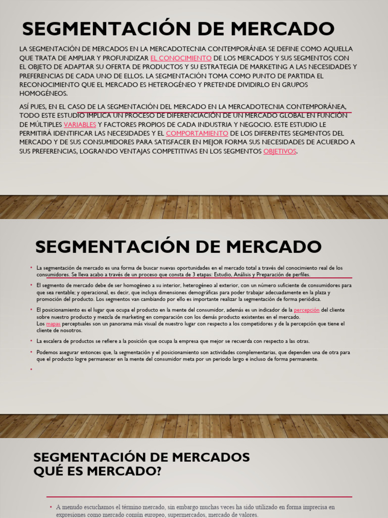 Segmentación de Mercados | PDF | Marketing | Producto (Negocio)