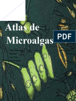 Micro Algas