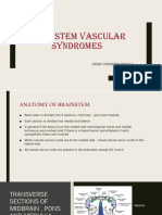 Brain Stem Vascular Syndromes