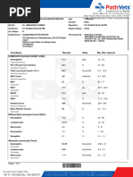 IDEXX Reference Values Dogs Cats | PDF