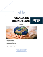 Ensayo TEORIA DE BRUNDTLAND