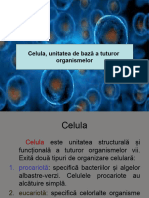 celula_unitatea_de_baza_a_organismelor_vii