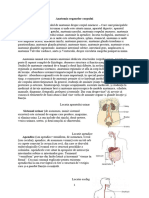 Anatomia Organelor Corpului