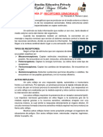 Anatomía 2º-Receptores Sensoriales