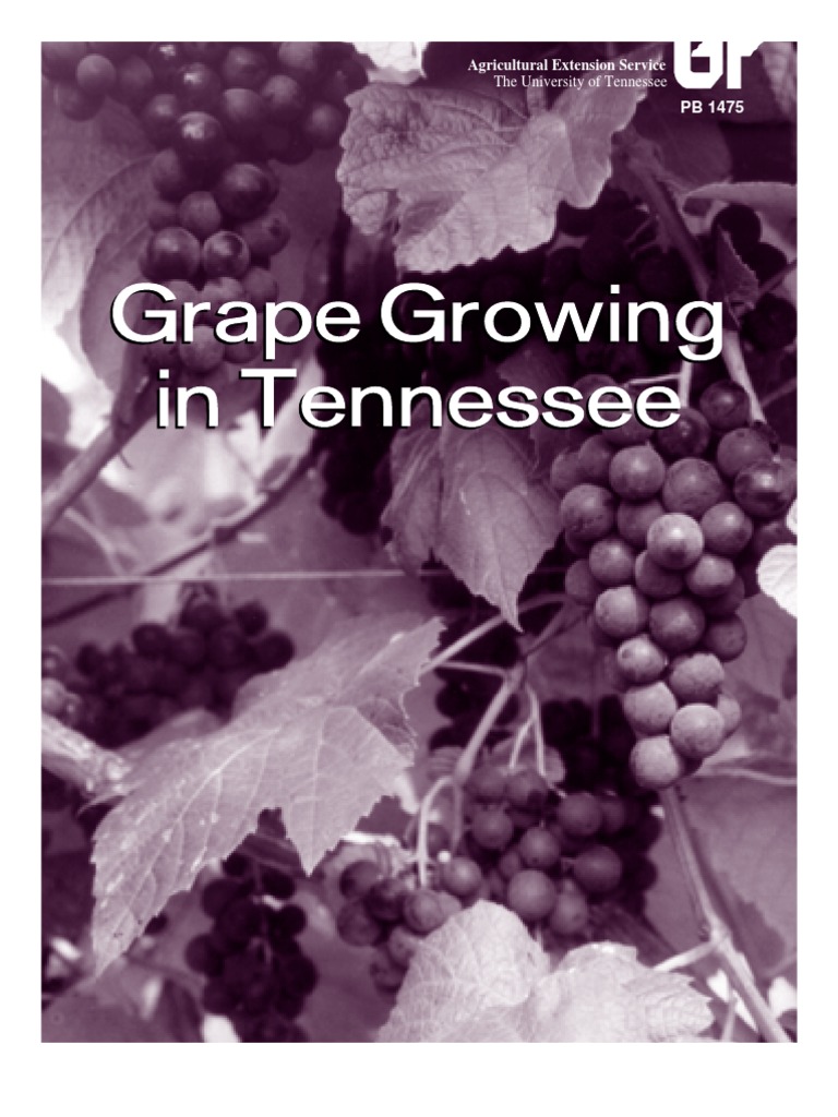 Grape Growing in Tennessee PDF Vitis Pruning