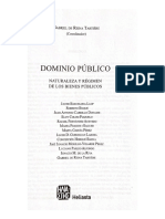 Doctrina extranjera Gabriel de Reyna INSCRIPCION bienes dominio publico