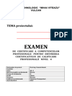 1 Model Structura Si Date de Identif Proiect