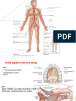 Abdominal Aorta Geo