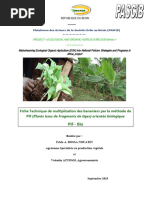 Techniques de culture de l'igname en Côte d'Ivoire | PDF | Agriculture ...