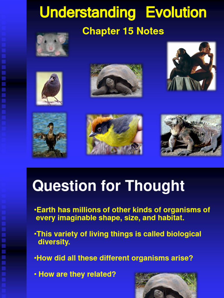 Darwin's Theory of Evolution PDF Natural Selection Evolution