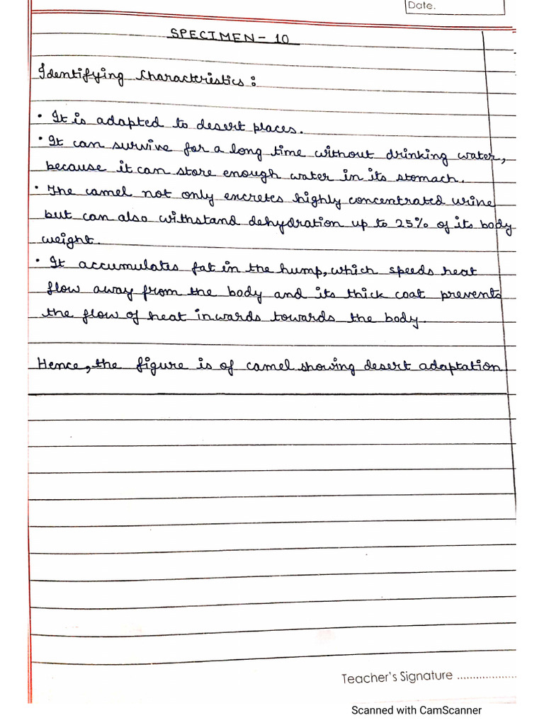 Bio practical part 2 class 12 pdf