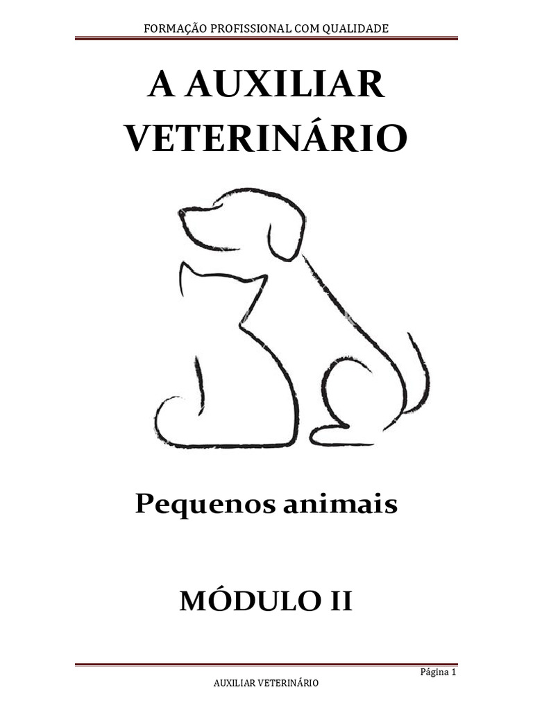 FAZENDA MARINHEIRO - ORIZONA Uma Viagem Genealógica Entre A Europa e Os  Sertões Do Brasil - Fabrício Nunes Carvalho | PDF | Português (idioma) |  Península Ibérica, image size:768x1024