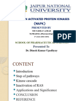 Mitogen Activated Protein Kinases