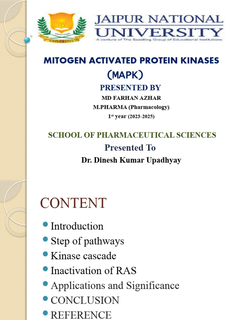 Overview of MAPK Signaling Pathways | PDF | Kinase | Mitogen Activated ...