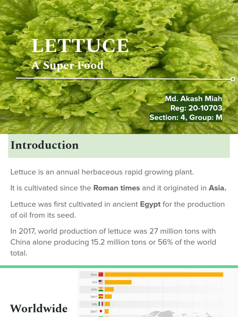 Lettuce | PDF | Lettuce | Plant Nursery