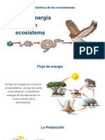 Dinámica de Los Ecosistemas