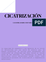 Cicatriz Ac I On